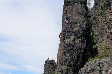 Bild der Petition Wanderfalkenschutz an der Badener Wand (Battertfelsen, Baden-Baden) – Offener Brief