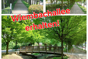 Bild der Petition Wiembachallee erhalten!