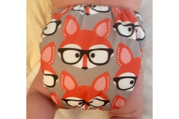 Bild der Petition Windelförderung