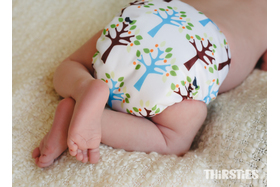 Bild der Petition: Windelzuschuss einführen