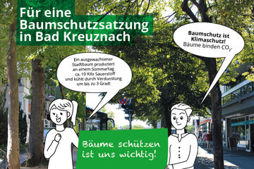 Bild der Petition Wir brauchen eine Baumschutzsatzung für Bad Kreuznach!