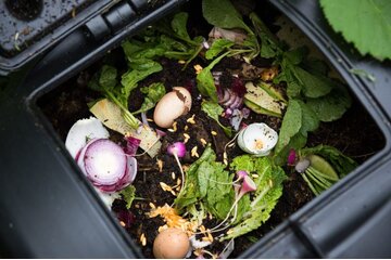Bild der Petition Wir fordern die Biotonne in Vorpommern-Greifswald
