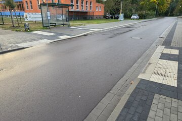 Bild der Petition Wir fordern einen Zebrastreifen vor der Dachsbergschule