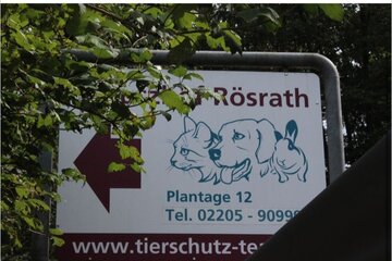 Bild der Petition Zulassung als Tierschutzhof/Tierheim