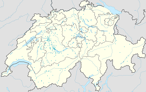 Kart over Bern med markører for hver supporter