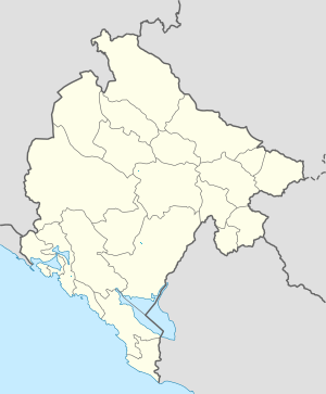 Map of Montenegro with markings for the individual supporters